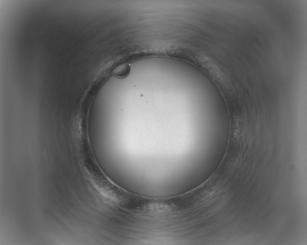 X0000071910636200607141401