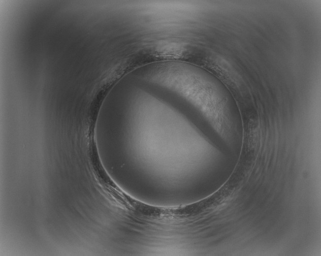 X0000071910641200607141401