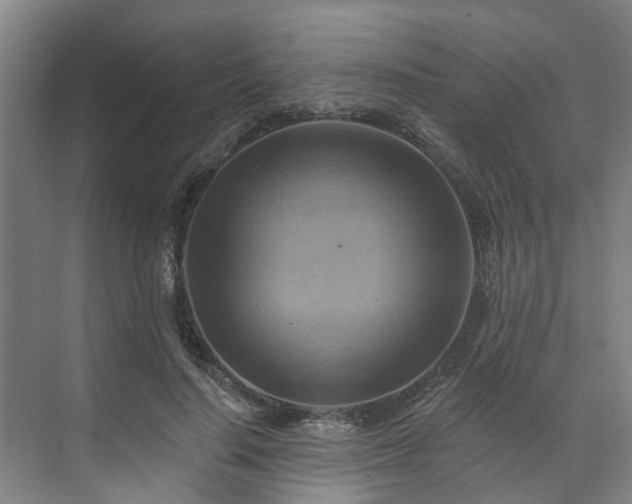 X0000071910644200607141401
