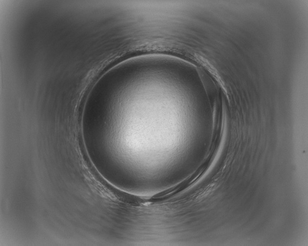 X0000071910673200607141401