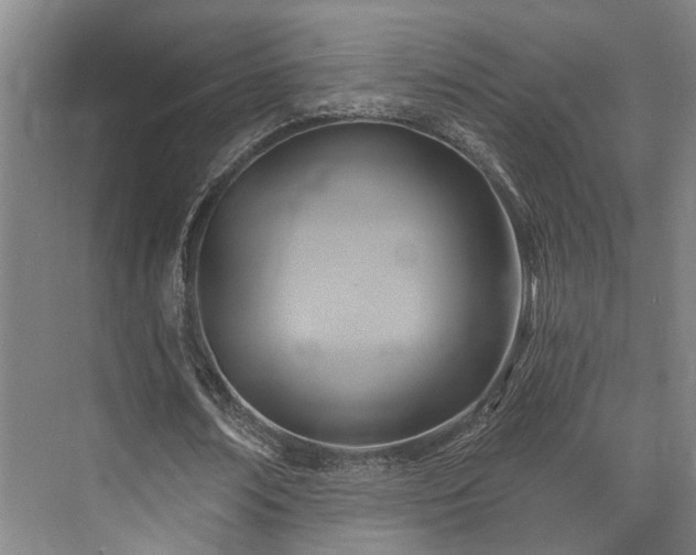 X0000071910674200607141401