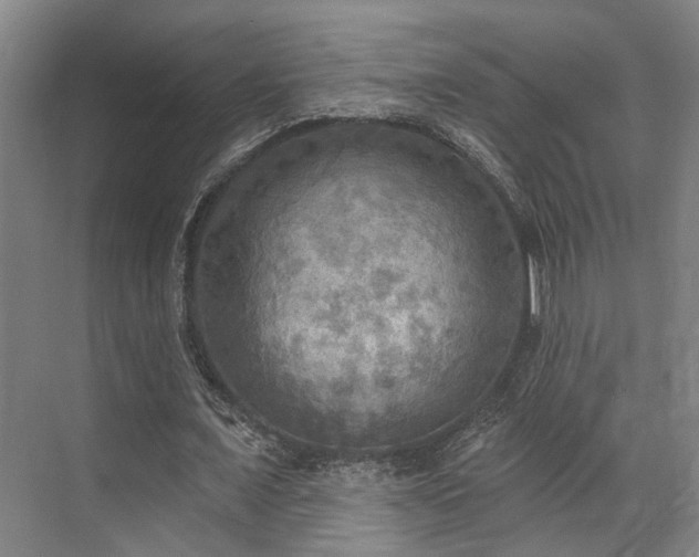 X0000071910675200607141401