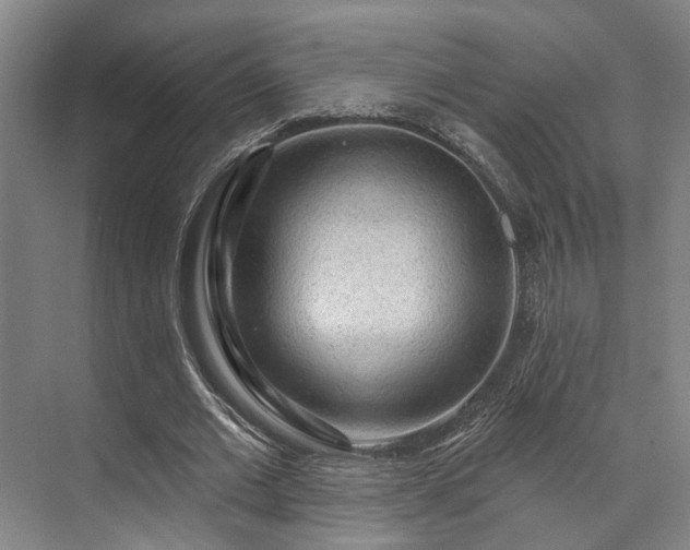 X0000071910677200607141401