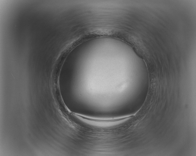 X0000071910688200607141400