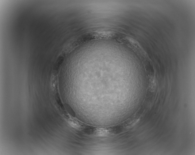 X0000071910701200607141400