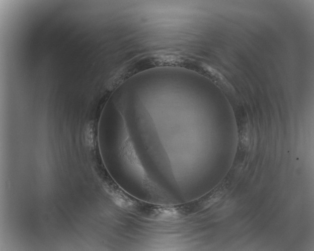 X0000071910715200607141400