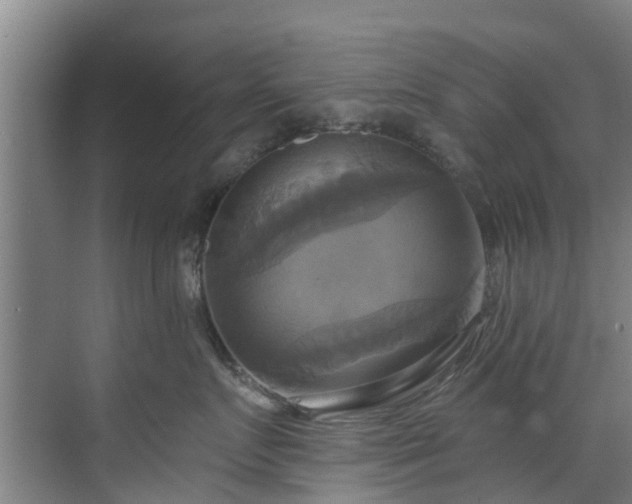 X0000071910719200607141400