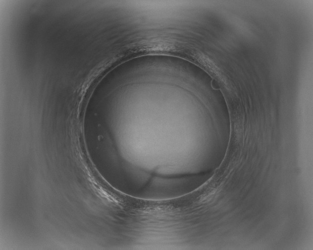 X0000071910721200607141359