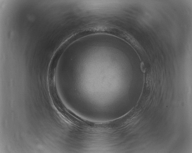 X0000071910722200607141359