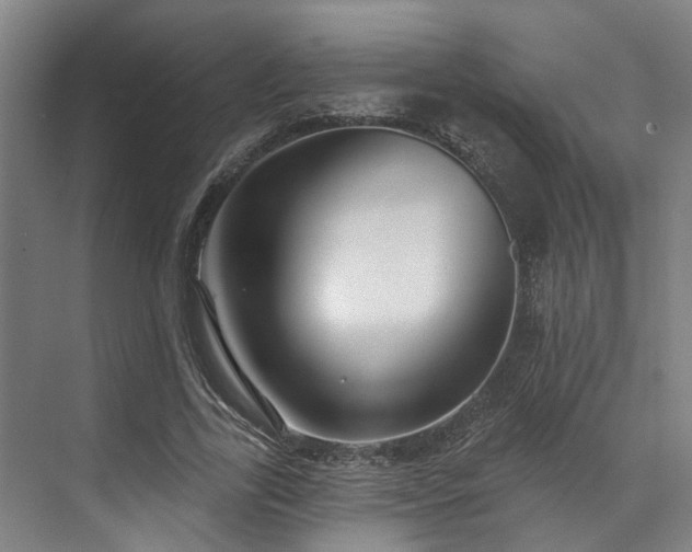 X0000071910731200607141359