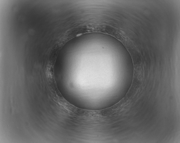 X0000071910770200607141359