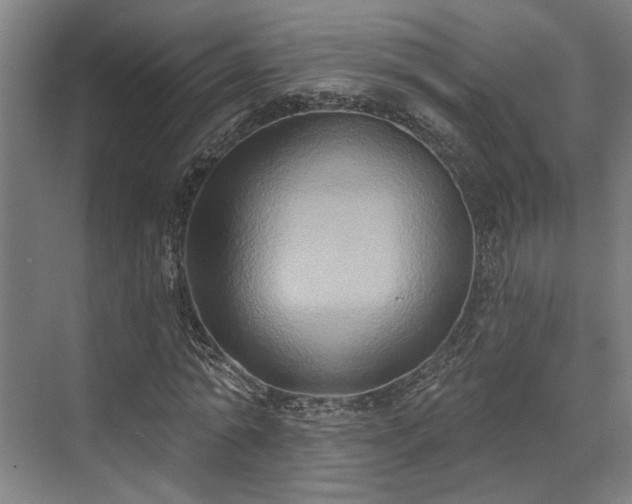 X0000071910774200607141359
