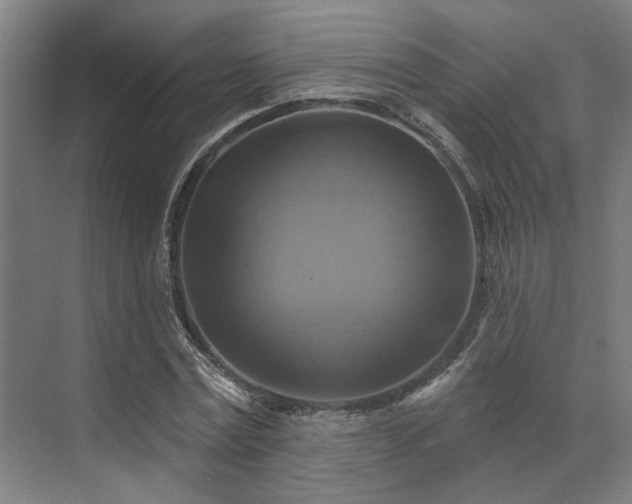 X0000071910779200607141359