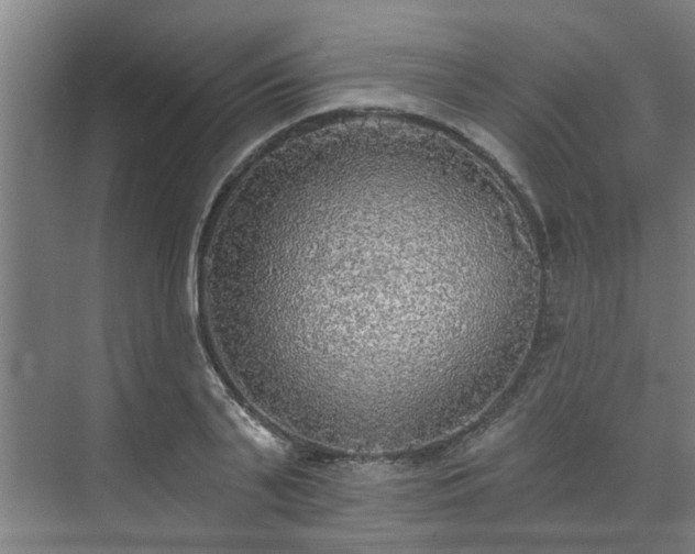 X0000071910791200607141359