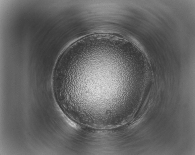 X0000071910803200607141358
