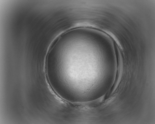 X0000071910815200607141358