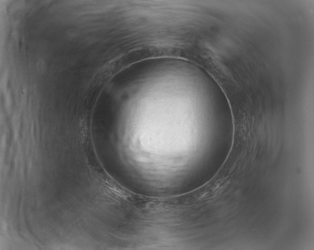 X0000071910821200607141358