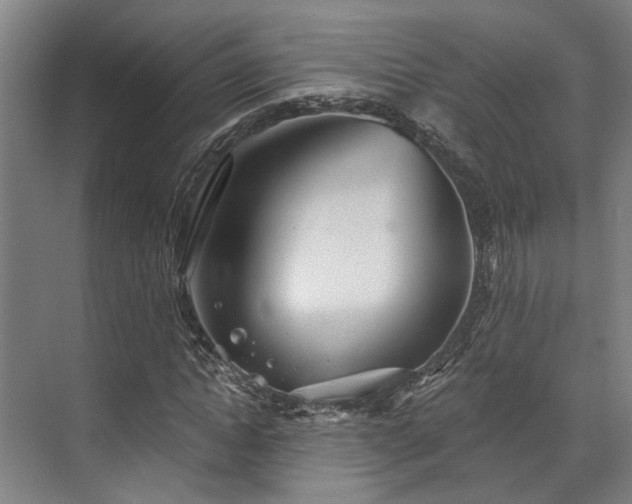 X0000071910822200607141358