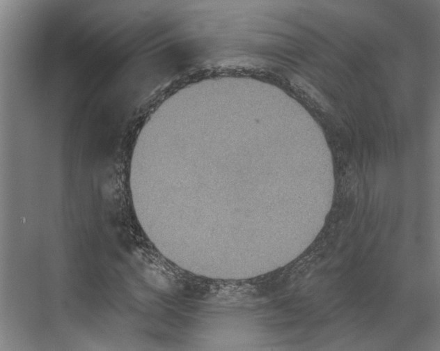 X0000071910824200607141358