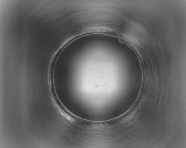 X0000071910843200607141358