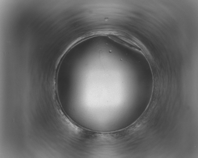 X0000071910852200607141358