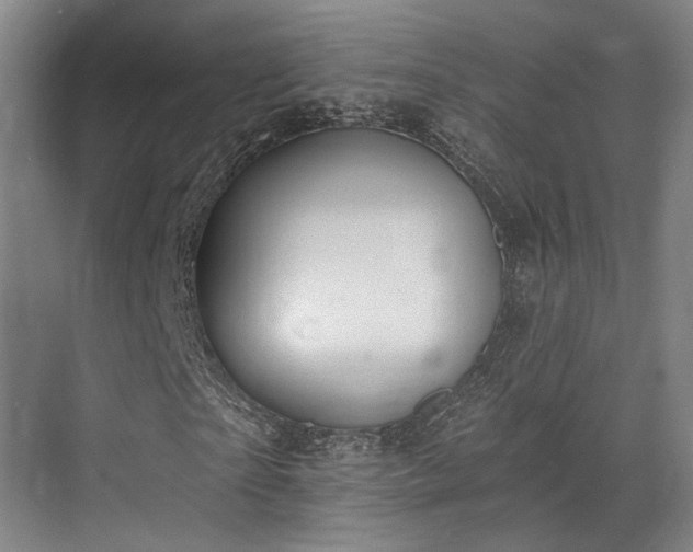 X0000071910865200607141357