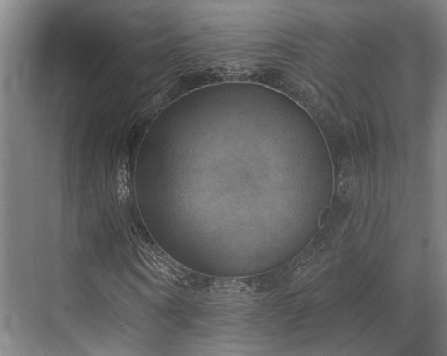 X0000071910866200607141357