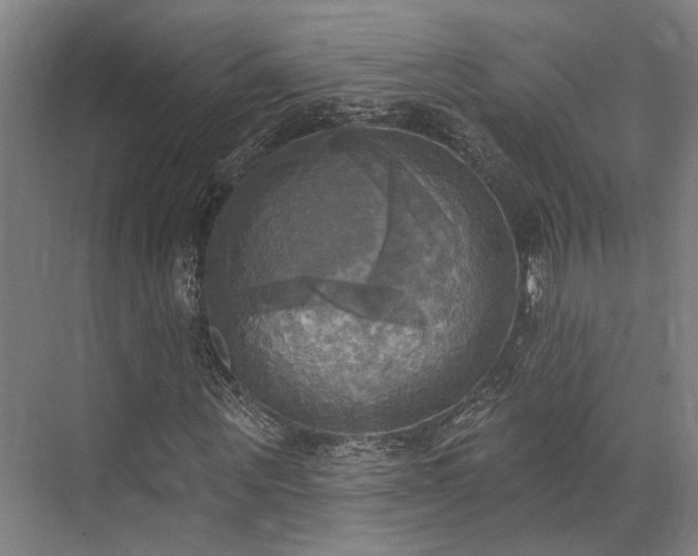 X0000071910867200607141357