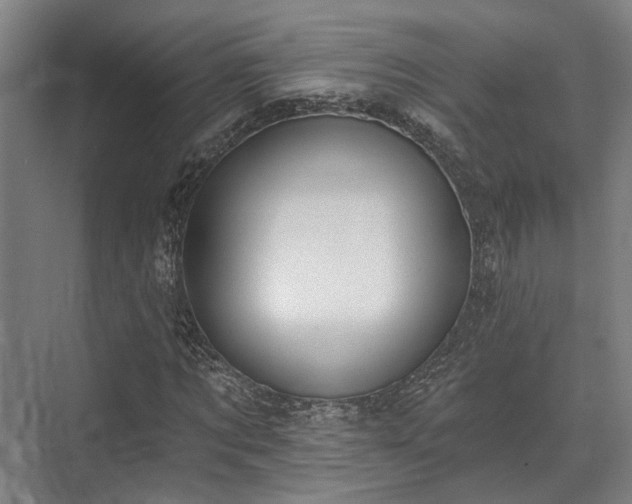 X0000071910869200607141357