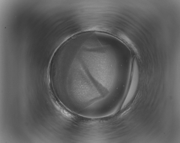 X0000071910892200607141357