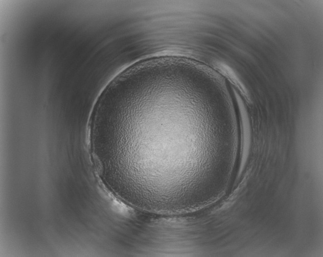 X0000071910900200607141357