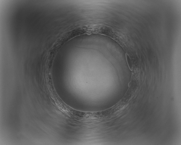 X0000071910913200607141356