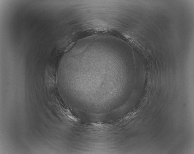 X0000071910916200607141356