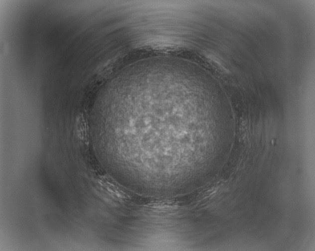 X0000071910917200607141356