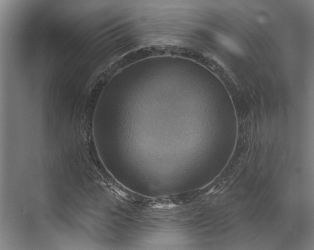 X0000071910919200607141356