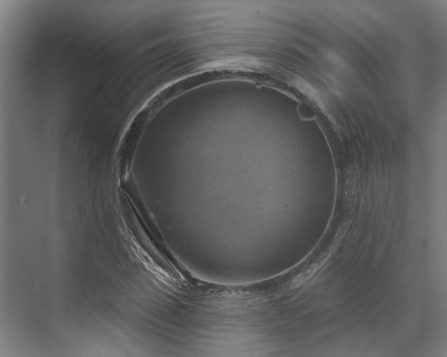 X0000071910923200607141356
