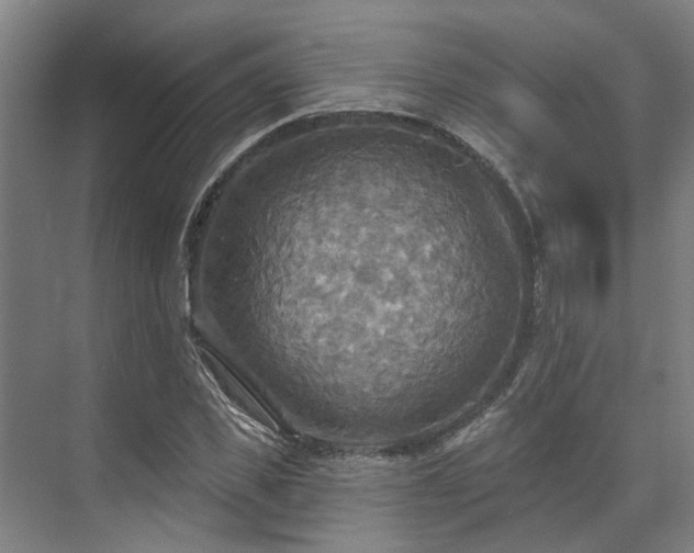 X0000071910925200607141356