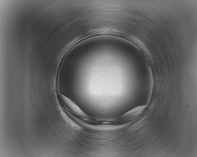 X0000071910946200607141356