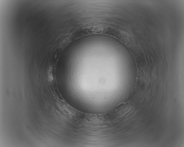 X0000071910962200607141356