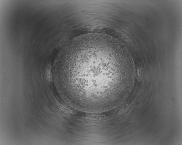 X0000071910963200607141356
