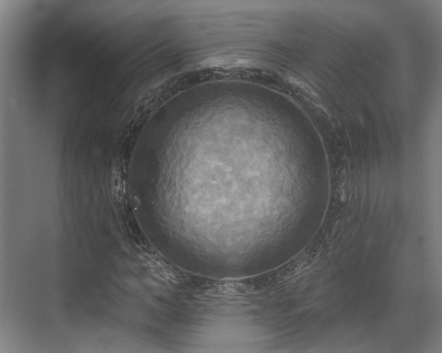 X0000071910966200607141356