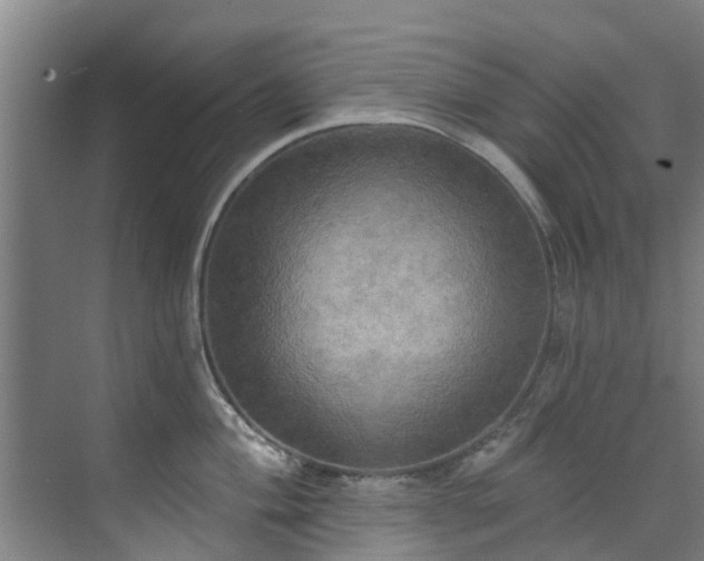 X0000071911004200607141355