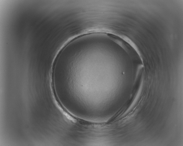X0000071911005200607141355