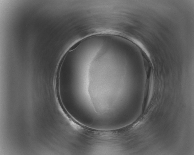 X0000071911007200607141355