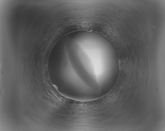 X0000071911009200607141354