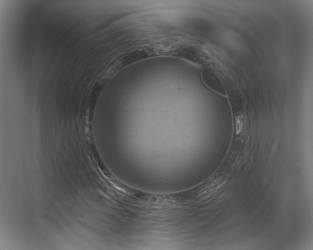 X0000071911011200607141354