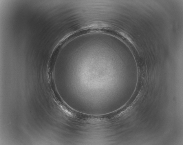 X0000071911018200607141354