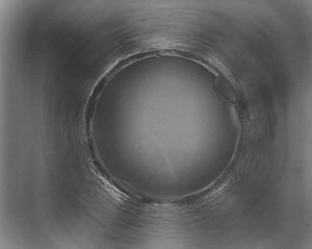 X0000071911023200607141354