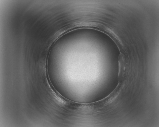 X0000071911033200607141355
