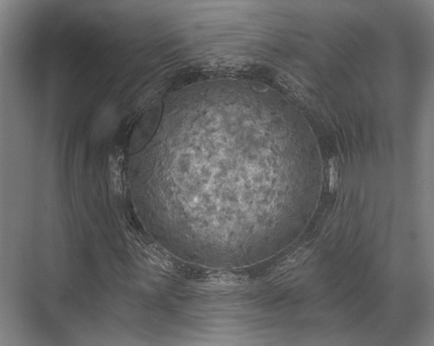 X0000071911059200607141354